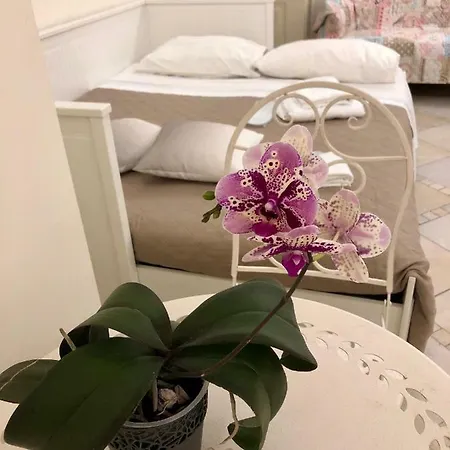 Mimi's Casa Per Vacanze *